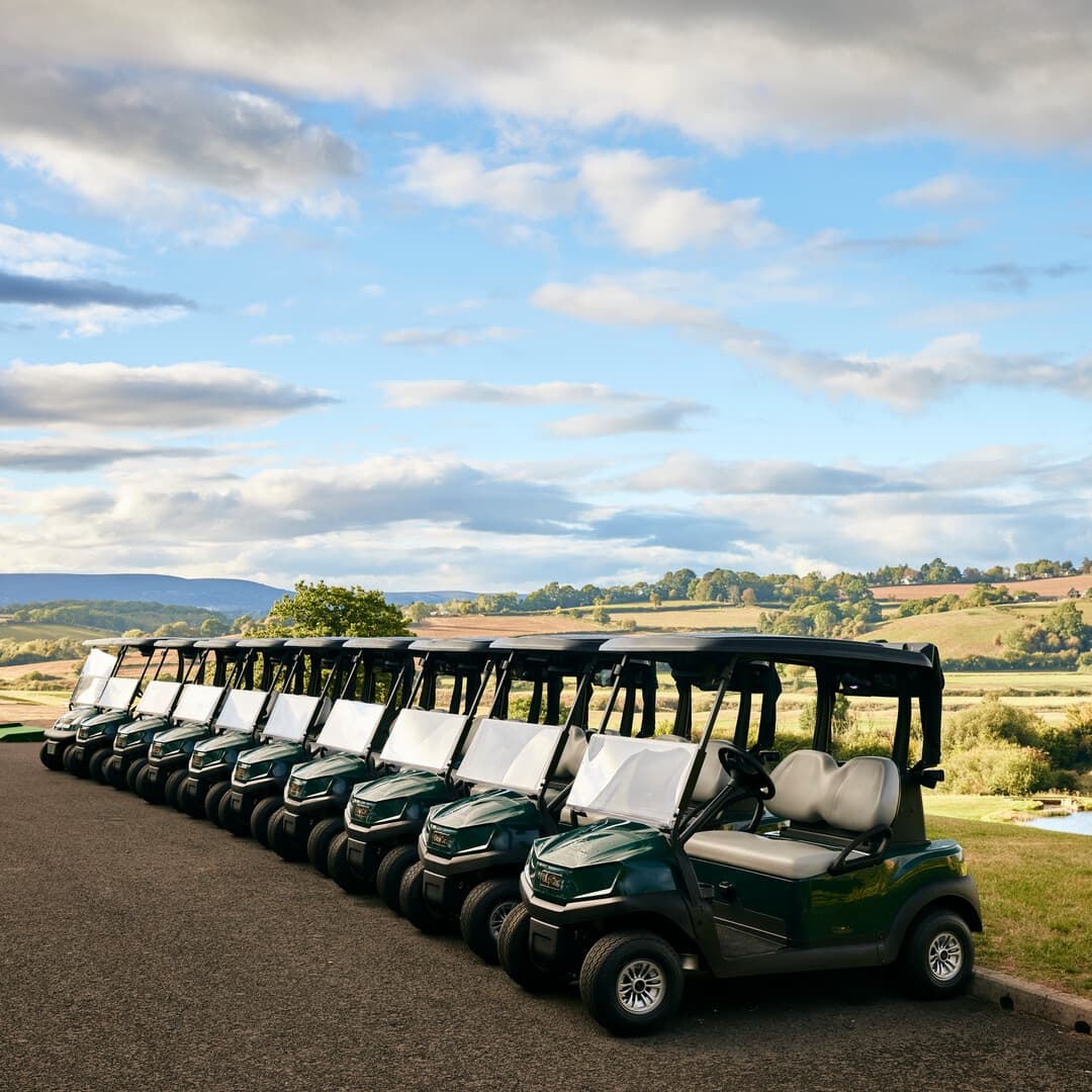 Golf Buggies