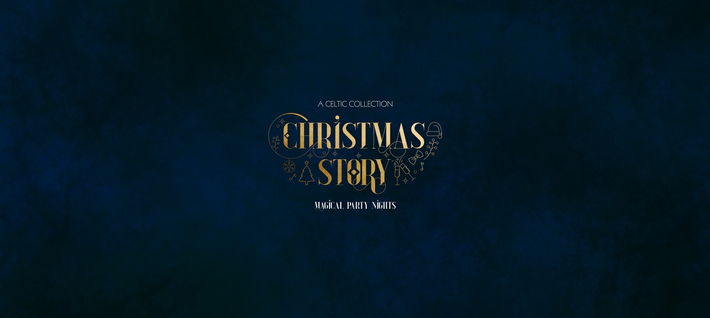 Christmas Party Night Banner